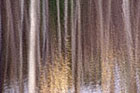 Landscapes